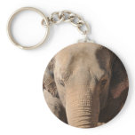Asian Elephant Keychain
