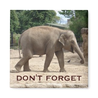 Asian Elephant Save The Date Magnet magnet