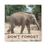 Asian Elephant Save The Date Magnet