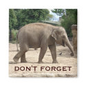 Asian Elephant Save The Date Magnet