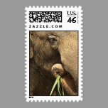 Asian Elephant Stamp stamps