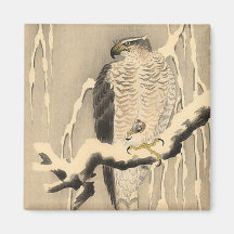Asian Goshawk Painting Magnet