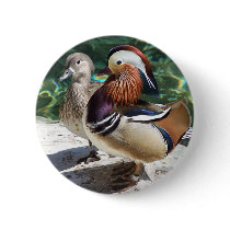 Asian Mandarin Ducks Male & Female Pinback Buttons
