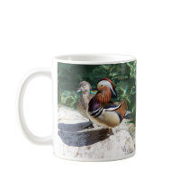 Asian Mandarin Ducks Male & Female Coffee Mug