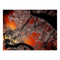 Asian skies posters