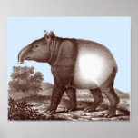 Asian Tapir - Changeable Background & Border Color posters
