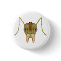 Asian weaver ant button