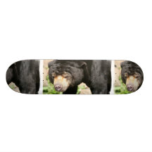 Asiatic Bear Skateboard
