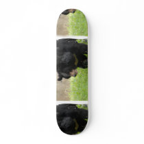 Asiatic Black Bear Skateboard