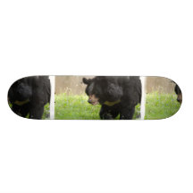 Asiatic Black Bear Skateboard