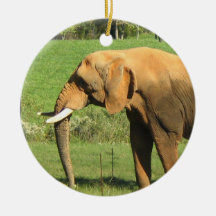 Asiatic Elephant  Ornaments