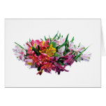 Asiatic Lilies Mixed Colors Cards