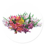 lily, lilly, lillies, lilies, asiatic lily, bloom,