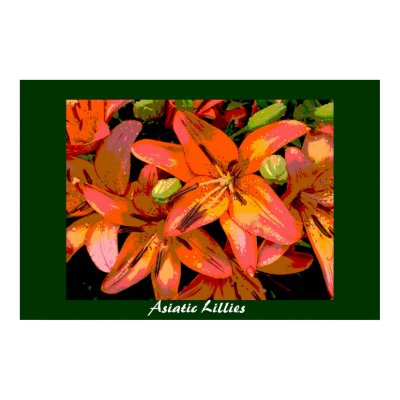 Asiatic Lillies Posters by skippie