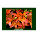 Asiatic Lillies posters