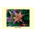 Asiatic Lilly posters by skippie Asiatic Lilly posters