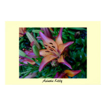 Asiatic Lilly posters by skippie Asiatic Lilly posters