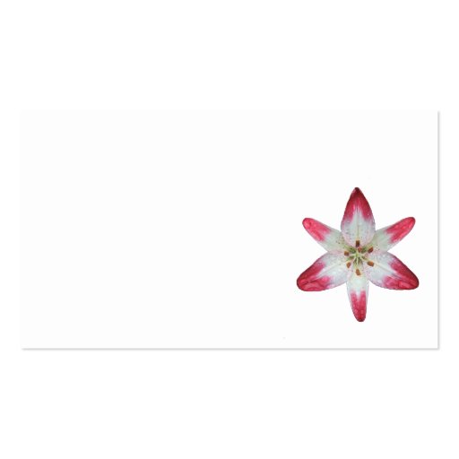 Asiatic Lily ~ biz card Business Cards (back side)