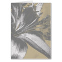 Asiatic Lily Card