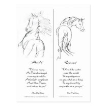 "Aside" & "Curves" Horse bookmark postcards