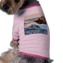 Asilomar Beaches Waves Ocean Dusk pet clothing