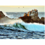 Asilomar Beaches Waves Ocean Dusk Photo Sculpture