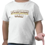Ask Me About CPAing T Shirts