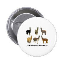 Ask me about my alpacas pins