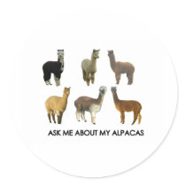 Ask me about my alpacas sticker