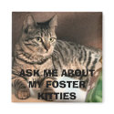 ASK ME ABOUT MY FOSTER KITTIES magnets by marta13 ASK ME ABOUT MY FOSTER KITTIES magnets