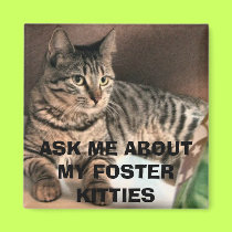 ASK ME ABOUT MY FOSTER KITTIES magnets