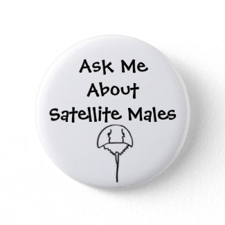 Ask Me About Satellite Males Pinback Buttons