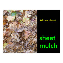 Ask me about , sheet mulch postcard
