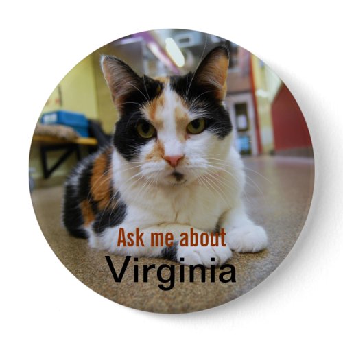 Ask Me About Virginia Button button