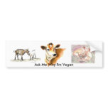 Ask Me Why I'm Vegan bumper sticker