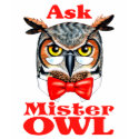 Ask Owl t-shirts by TheGalacticGroundhog Ask Owl t-shirts