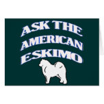 Ask The American eskimo Greeting Cards