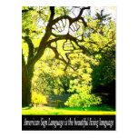 ASL-Handshaped Branches Postcards