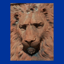 Aslan Lion Carved Stone relief St. Augustine Photo posters