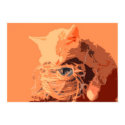 Asleep At The Wheel posters by WiscMeBrit Asleep At The Wheel posters
