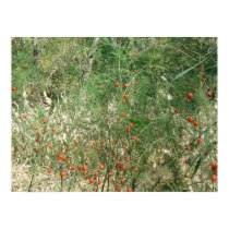 Asparagus Berries posters by Matrinka Asparagus Berries posters
