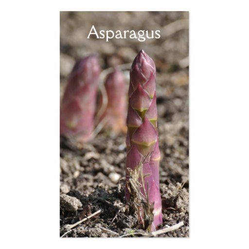Asparagus business card (front side)
