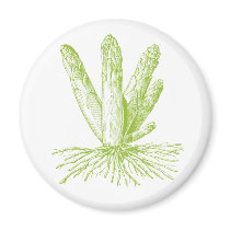 Asparagus Magnet