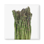 Asparagus Magnet