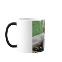 aspen2, Wake Up I'm Hungry! mugs by Zenith_Design aspen2, Wake Up I'm Hungry! mugs