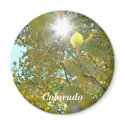 Aspen Aglow magnets