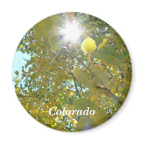 Aspen Aglow magnets by codfishlady Aspen Aglow magnets