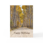 Aspen Alley In Autumn Greeting Card