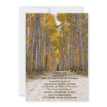 autumn, fall, wedding, aspens, leaves, leaf,