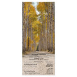 Aspen Alley in Autumn Wedding Program Rack Cards